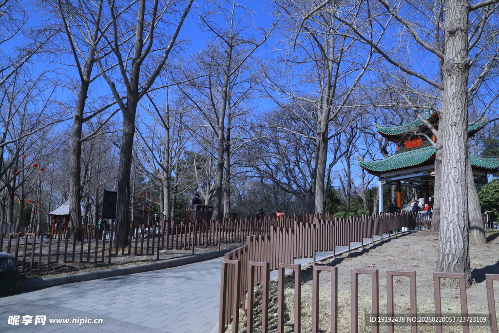 公园风景 