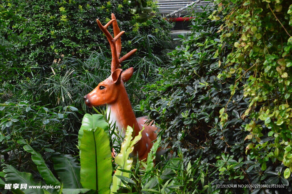 温室花草风景  