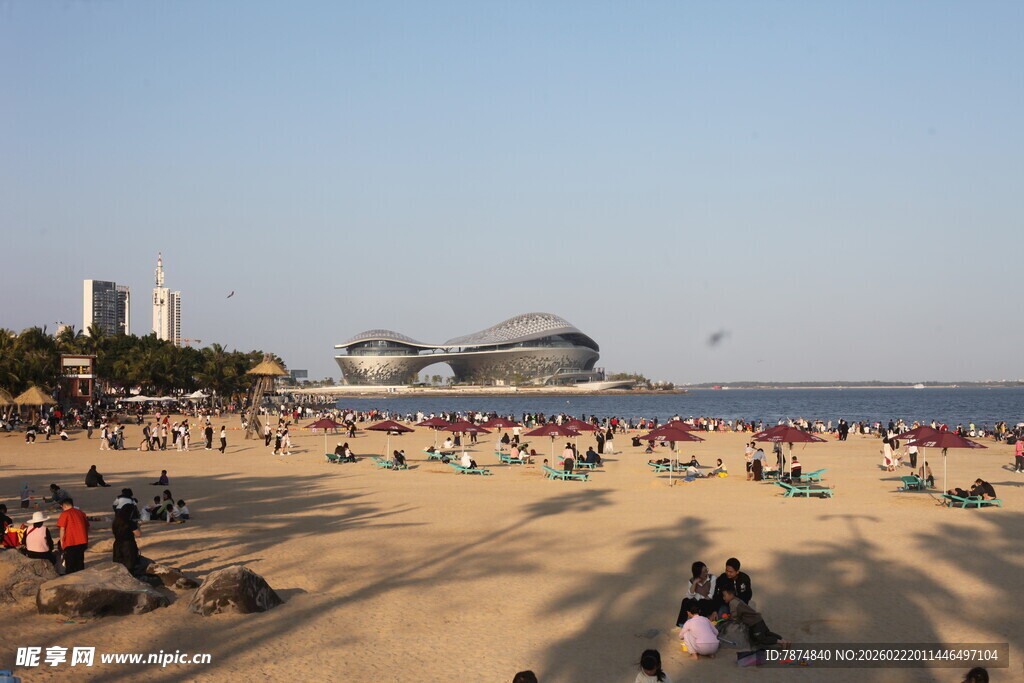 热闹的海滨沙滩休闲场景