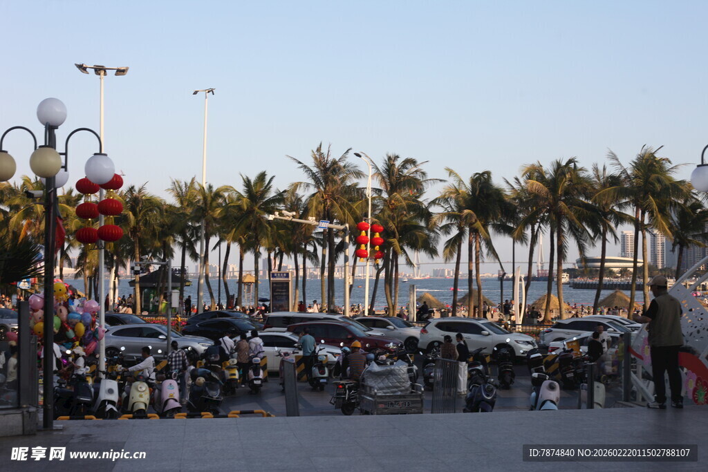 海滨街道的椰树与路灯