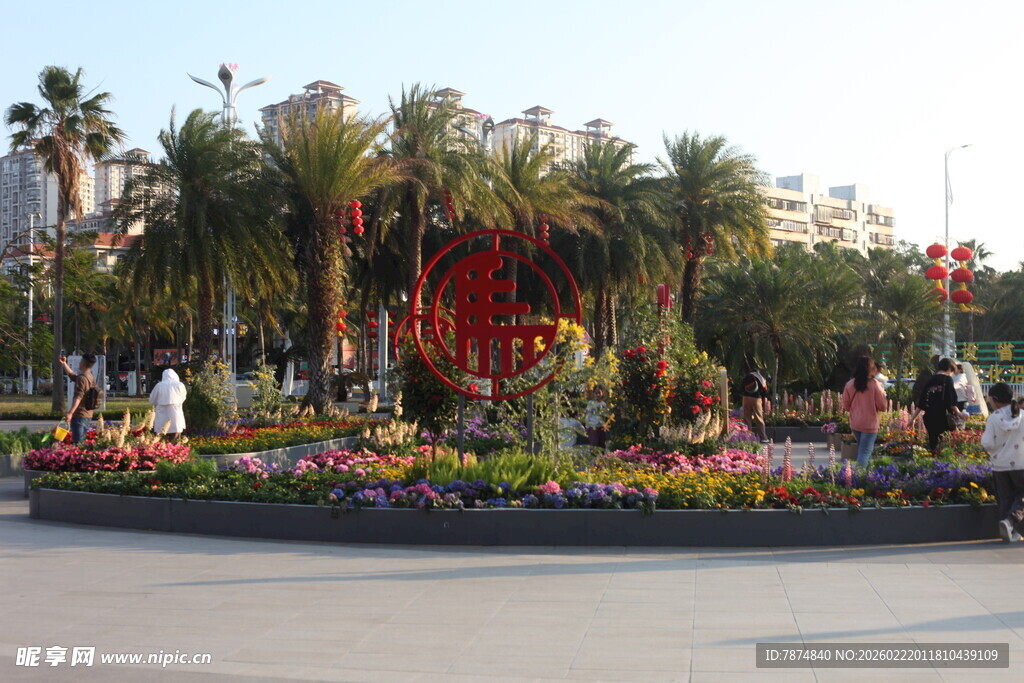 城市街头多彩花卉景观