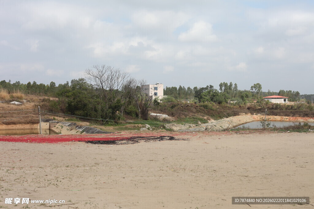 空旷沙地旁的绿树场景