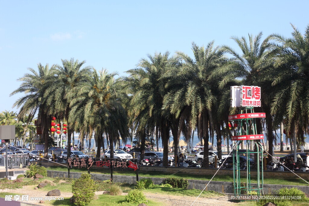 海滨棕榈树旁的热闹景象