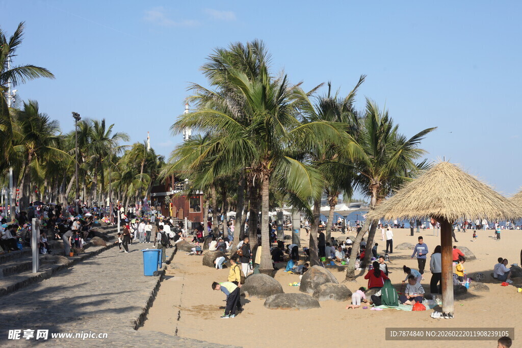 热闹的海滨沙滩休闲场景