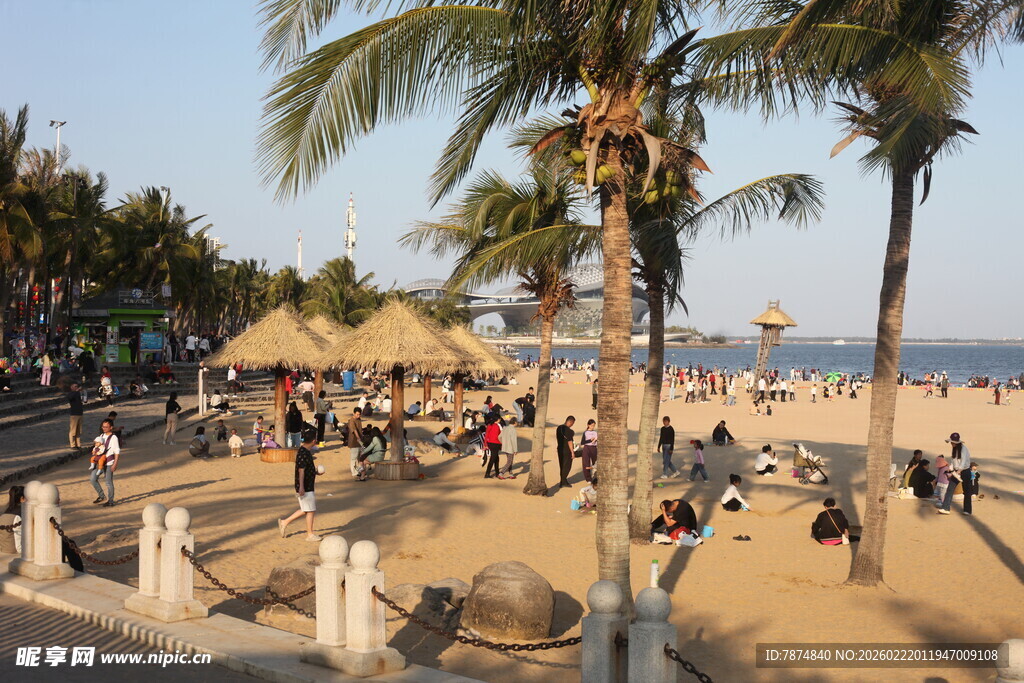 热闹的海滨沙滩休闲场景