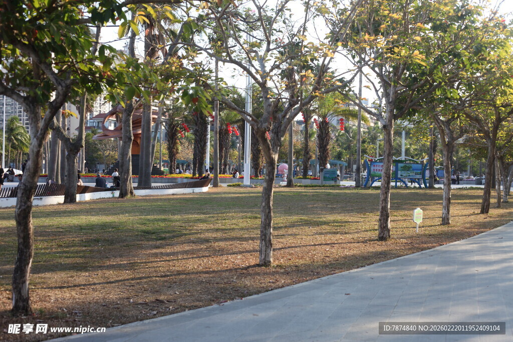 城市林荫道景观