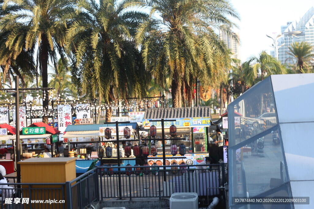 户外休闲场所的棕榈树景观