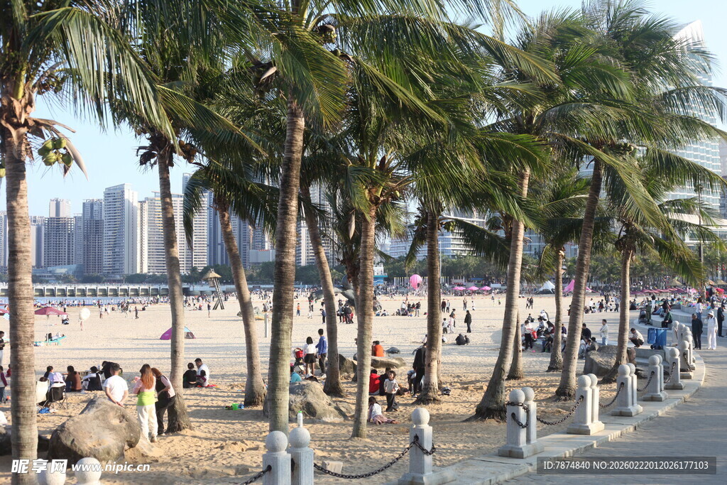 海滨椰林旁的热闹休闲场景