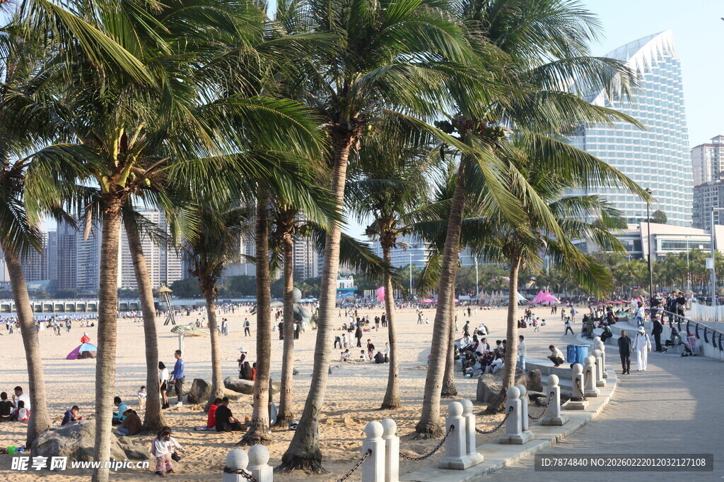 海滨椰林漫步休闲场景