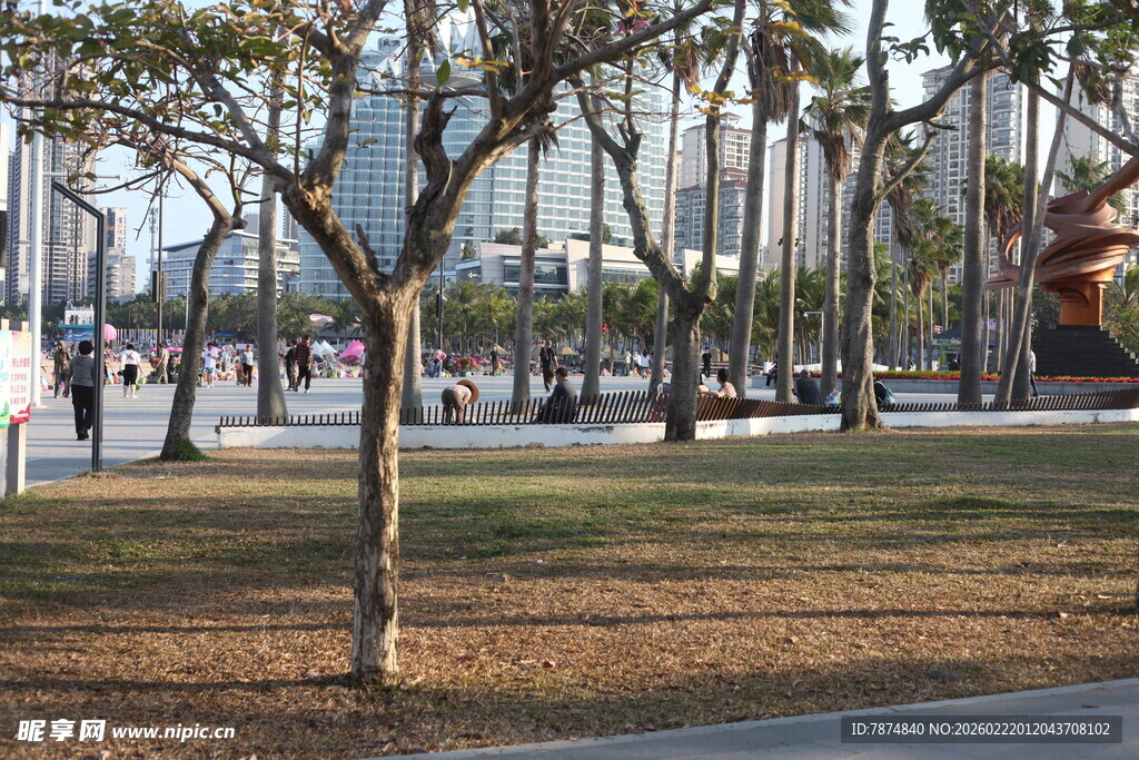 城市公园中的树木与行人