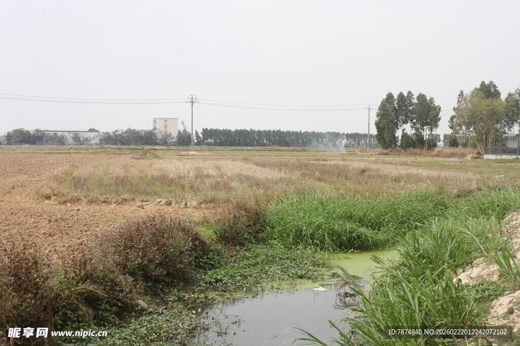 田野中的蜿蜒小河