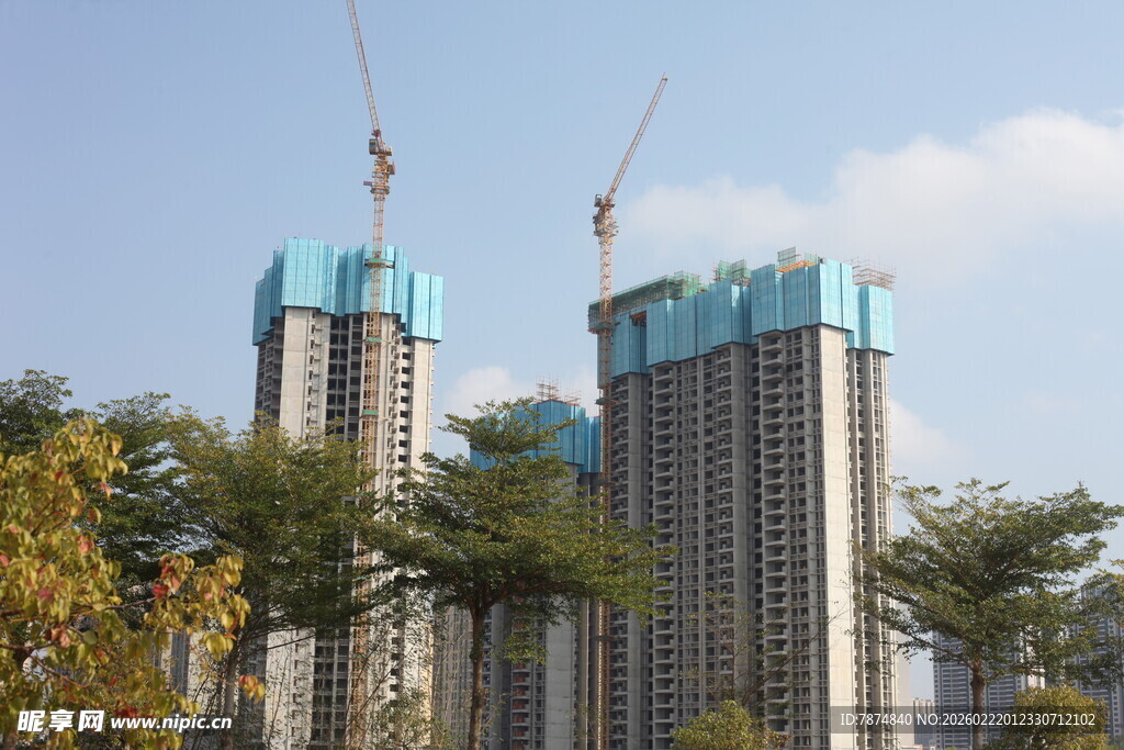 高楼建设中 绿树相伴