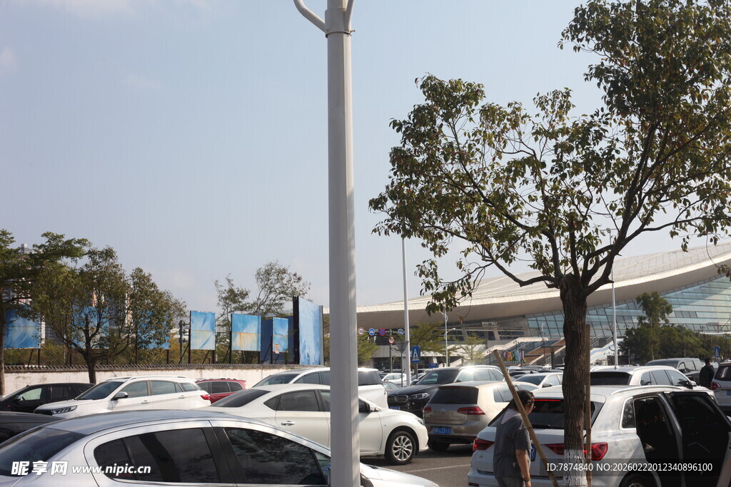 停车场内车辆与绿树景观