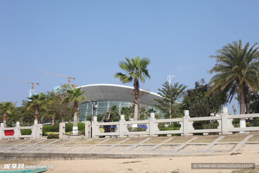 海滨现代建筑与棕榈树景观