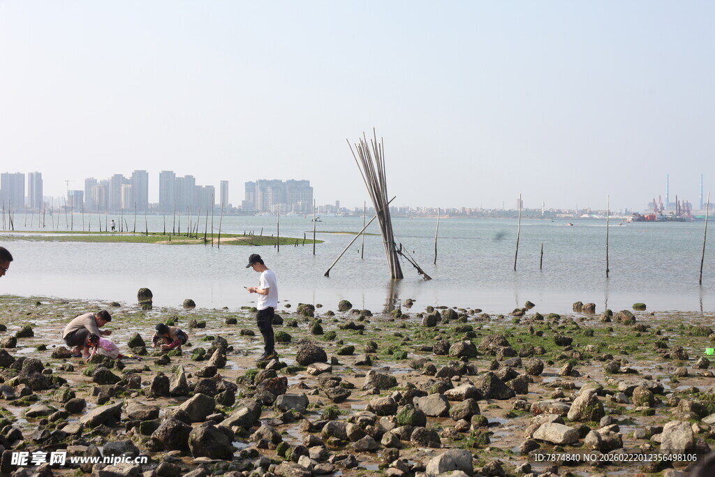 海边人立于礁石眺望城市