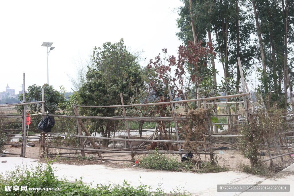 户外绿植围栏景观