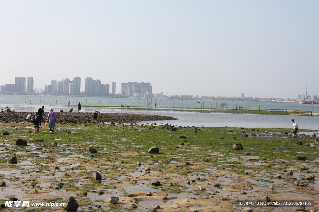 城市边的滩涂风光