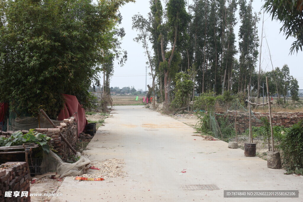 乡村小道风景