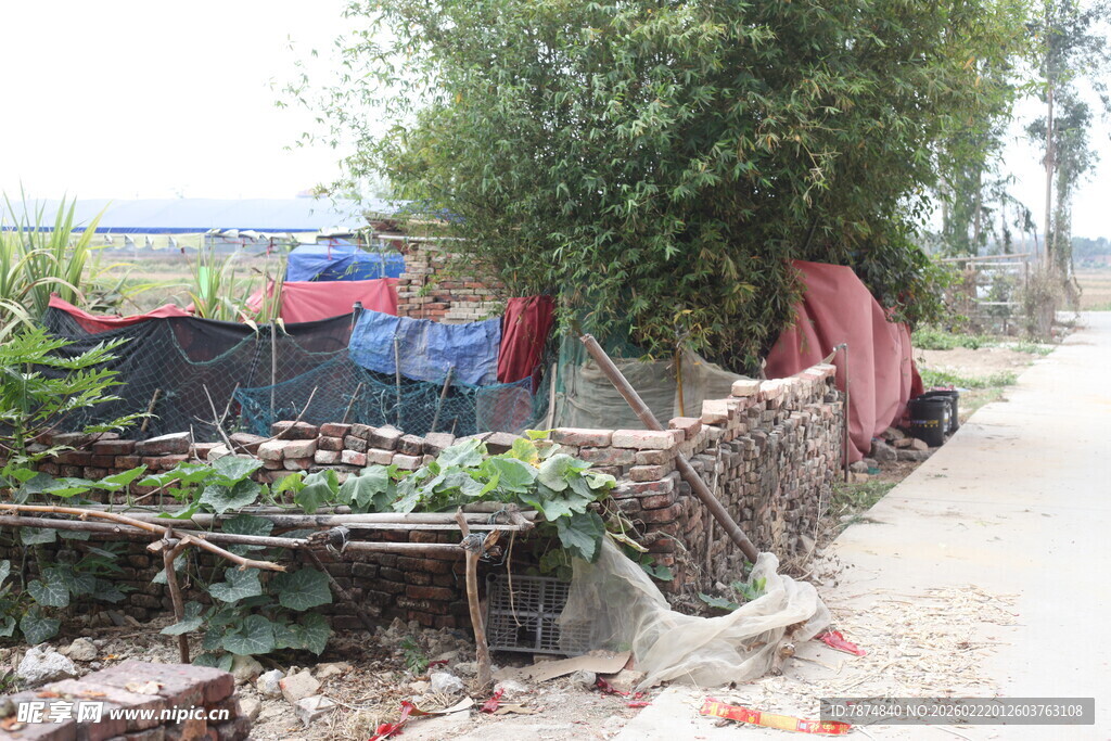 乡村路边的简易蔬菜种植区
