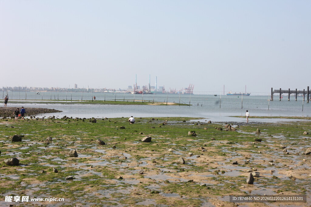 海边滩涂景象
