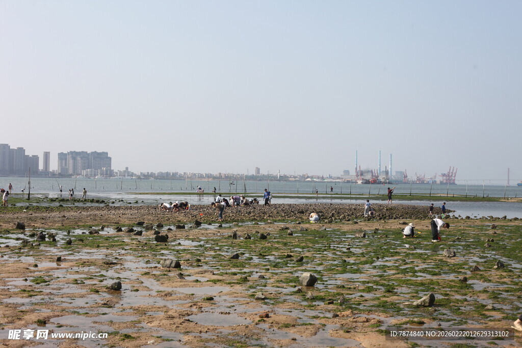 湿地景观 人群与城市远景