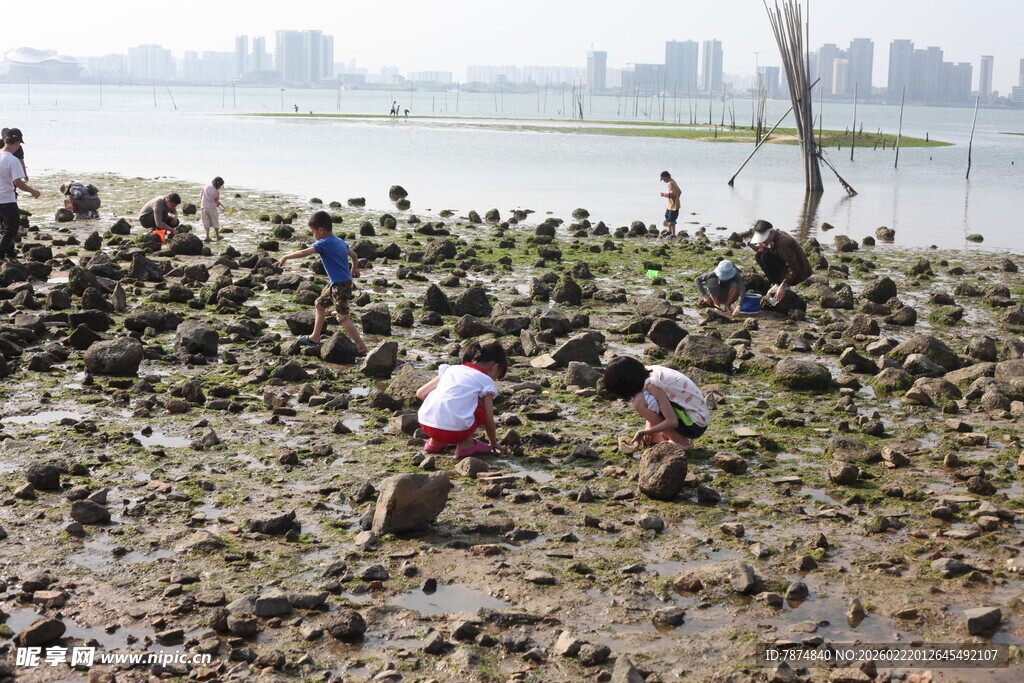 江边众人海滩赶海场景