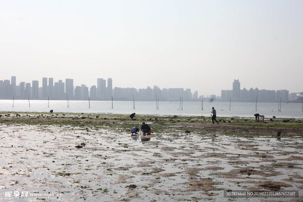 城市边滩涂处的赶海景象