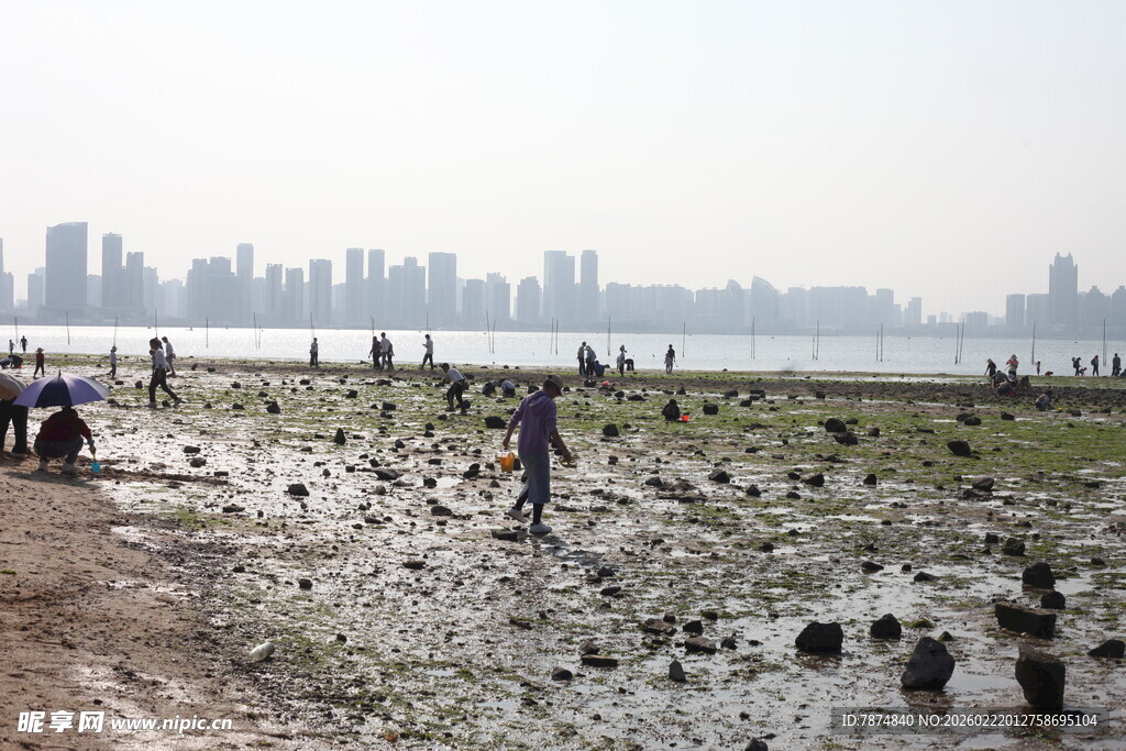 江边滩涂劳作场景