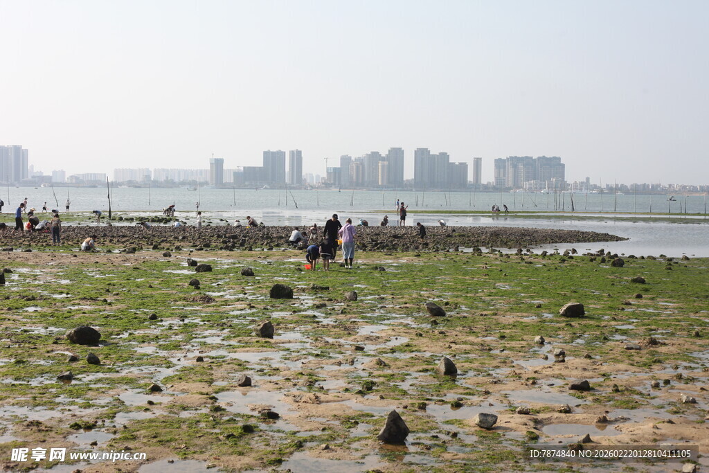 湿地景象 众人漫步生态环境