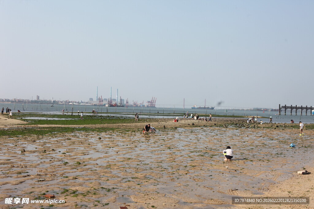 海边浅滩上的游玩场景