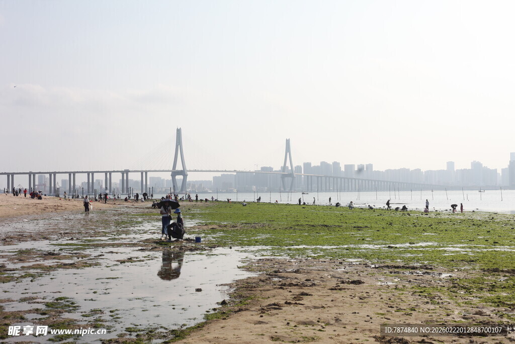 江边湿地与远处桥梁景观