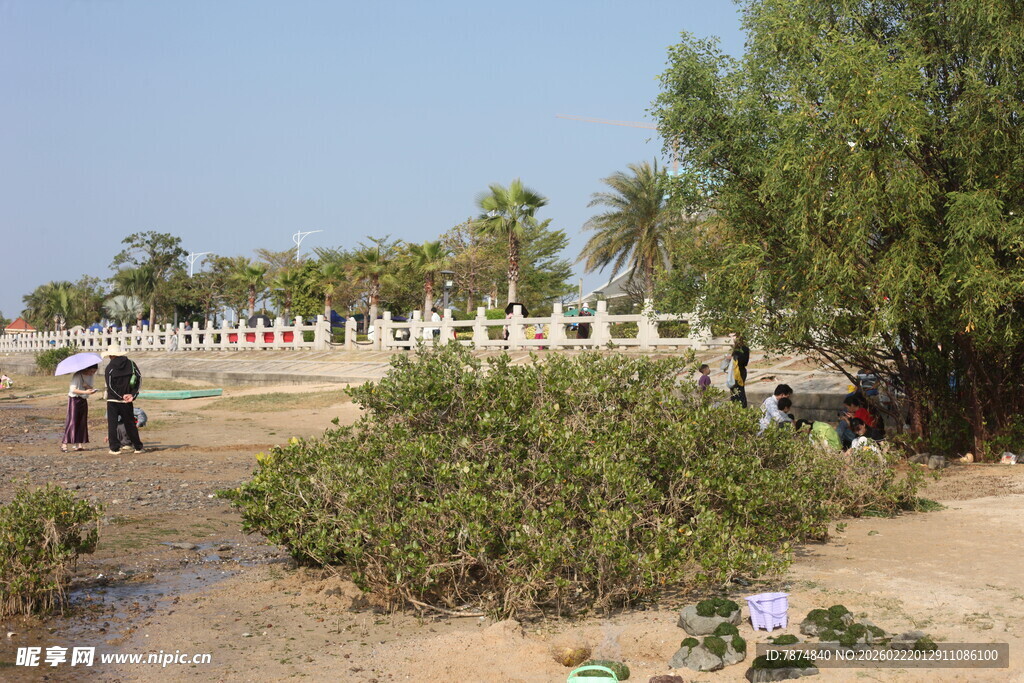 户外自然场景中的人群活动