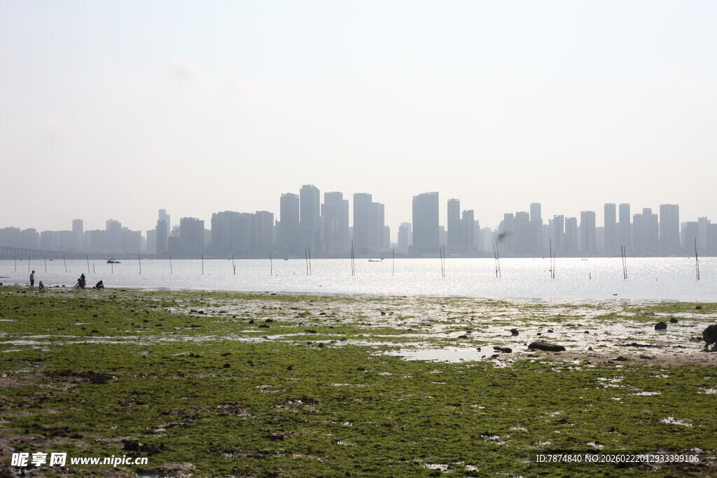 湖畔草地远眺城市天际线