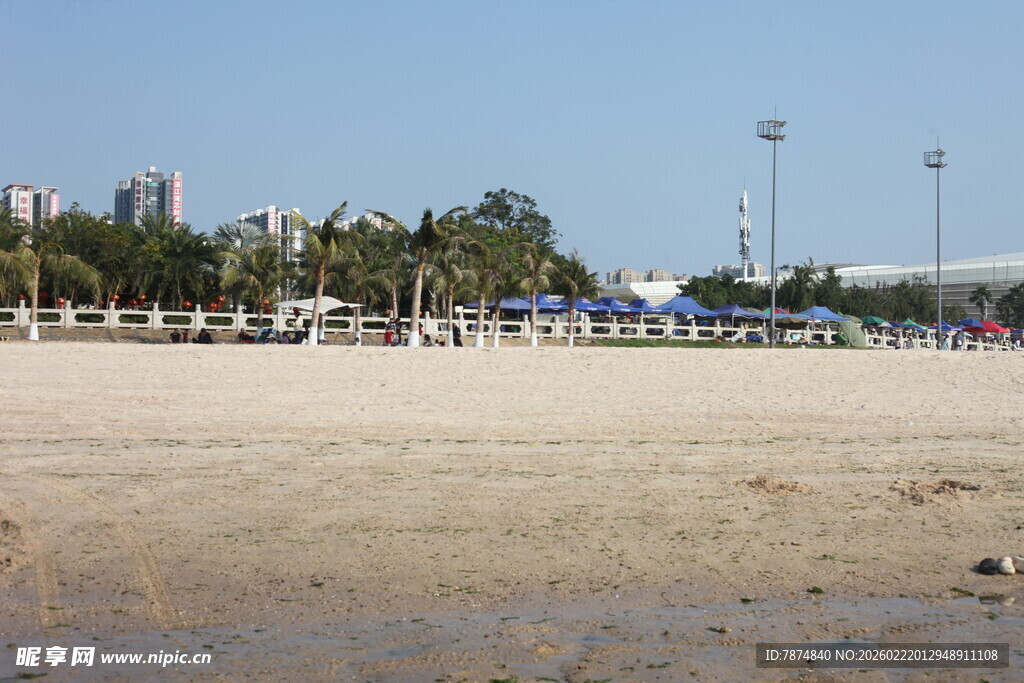 沙滩风光 远处有建筑与树木