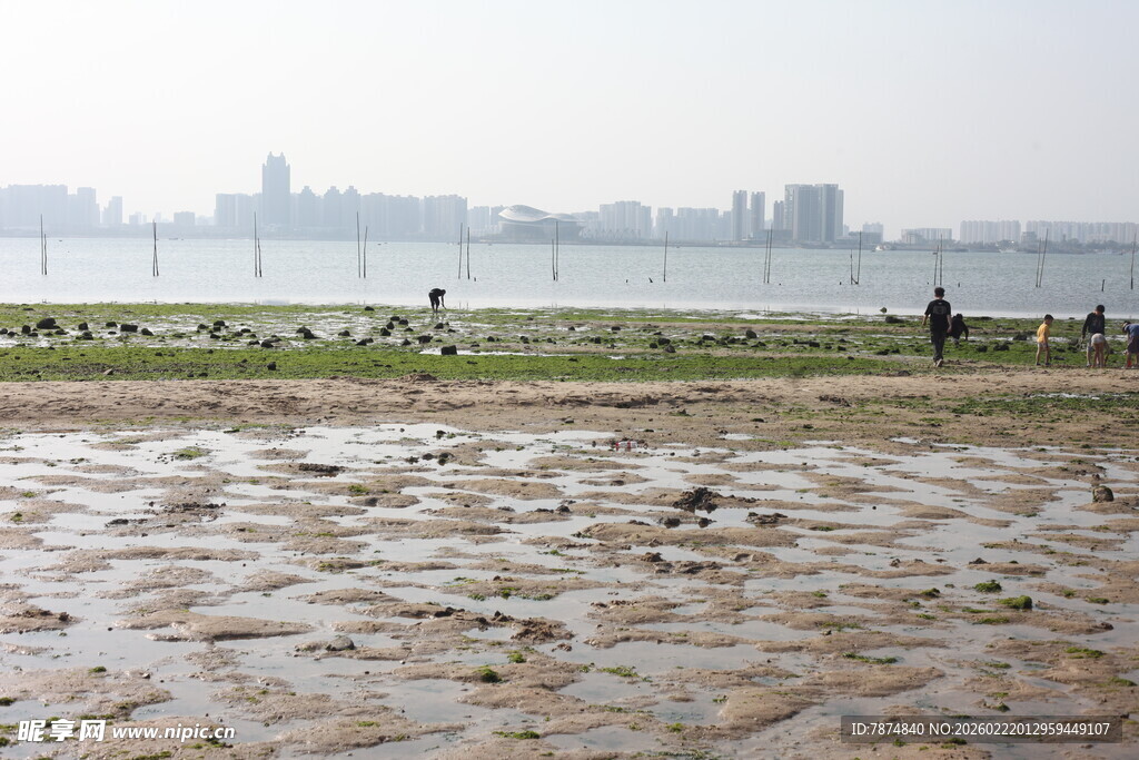 海滨滩涂景象