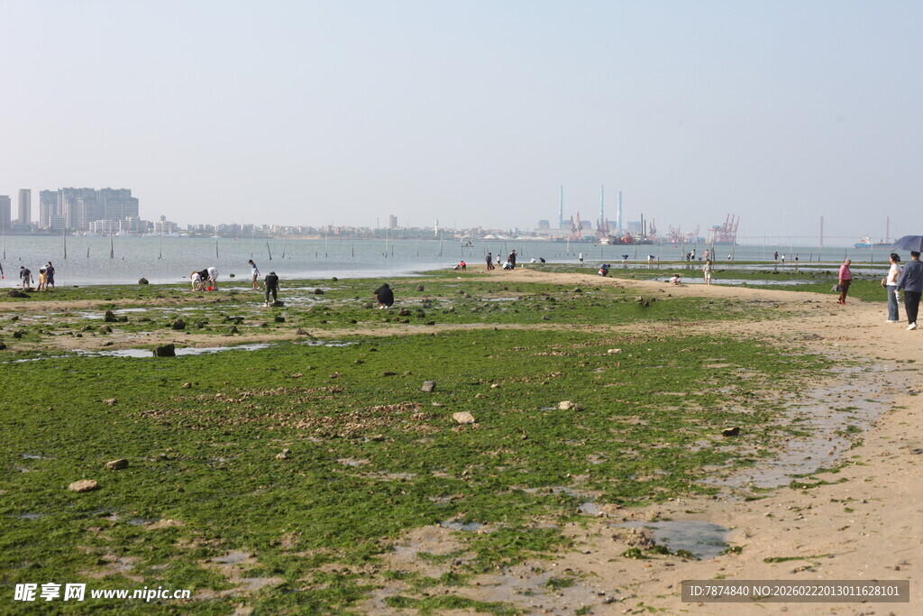 海滨草地景色 游人漫步