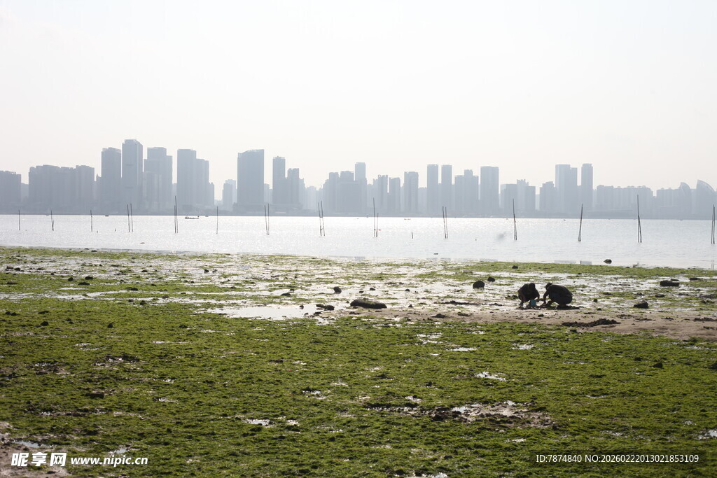湖畔草地与远处城市景观