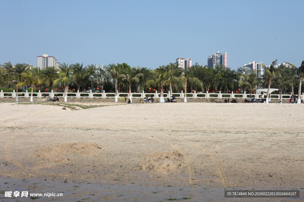 沙滩旁林立的棕榈树与建筑