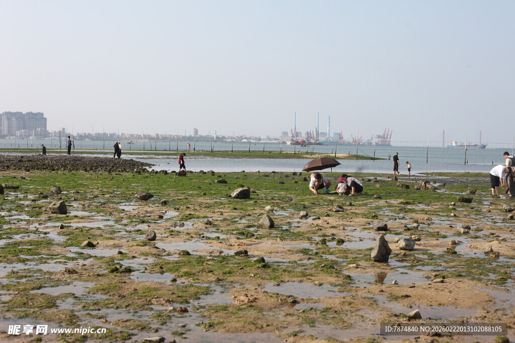海边滩涂景象