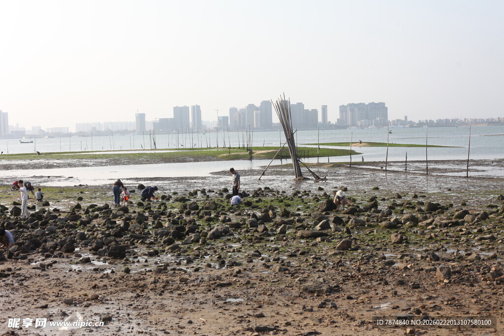 滩涂景象 远处城市隐约可见