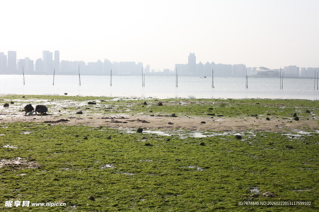 江边草地与远处城市景观