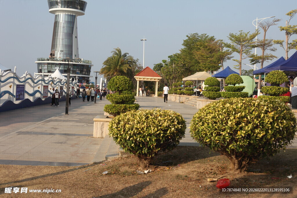 海滨景点景观与绿植
