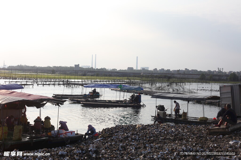 江边停靠船只与休憩人群