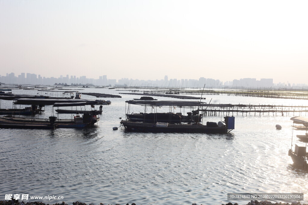 港口停泊船只景象