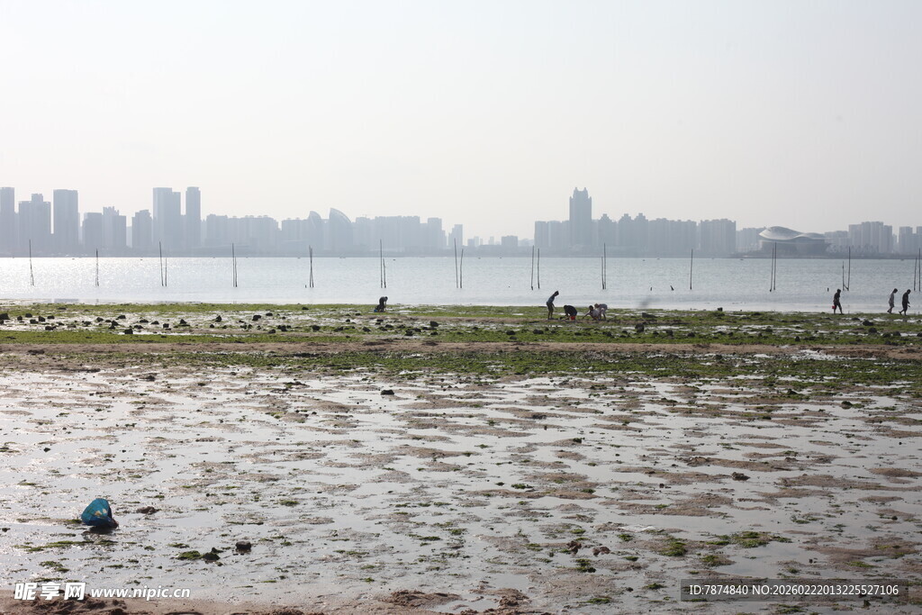 城市边的水域滩涂景观