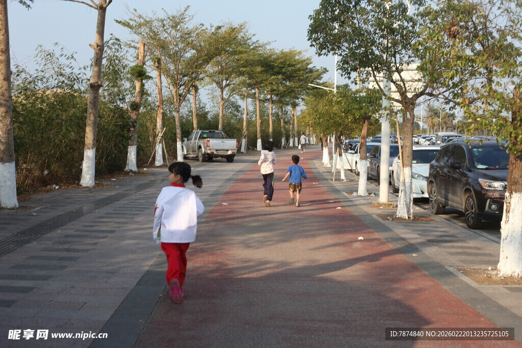 行人漫步于林荫街道