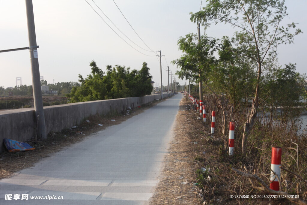 乡村小路旁的绿植与设施