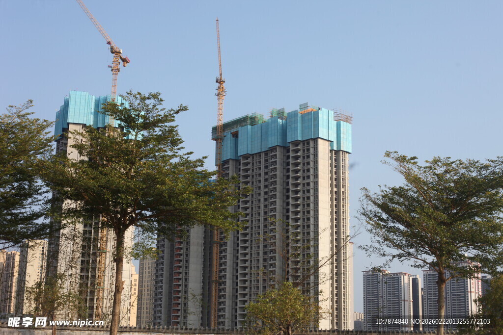 高楼建设中 绿树相伴