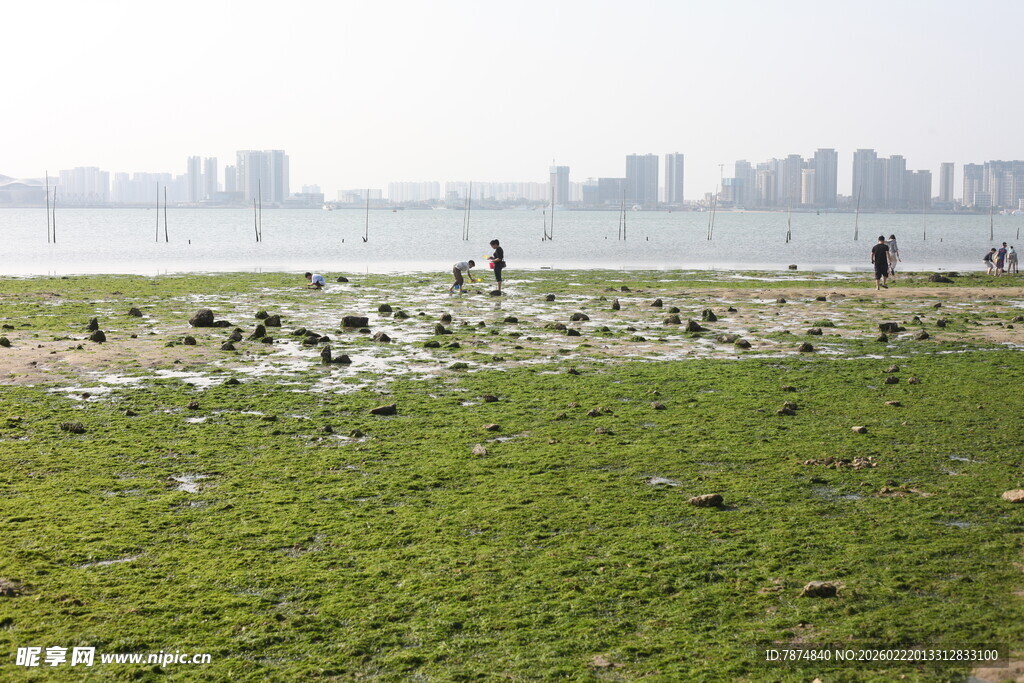 城市边的河畔草地景观