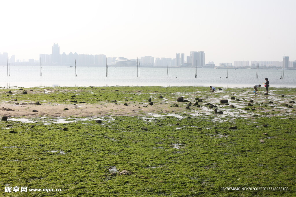 江边草地与远处城市景观